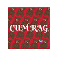 Cum Rag - Gagged Teddy Bear