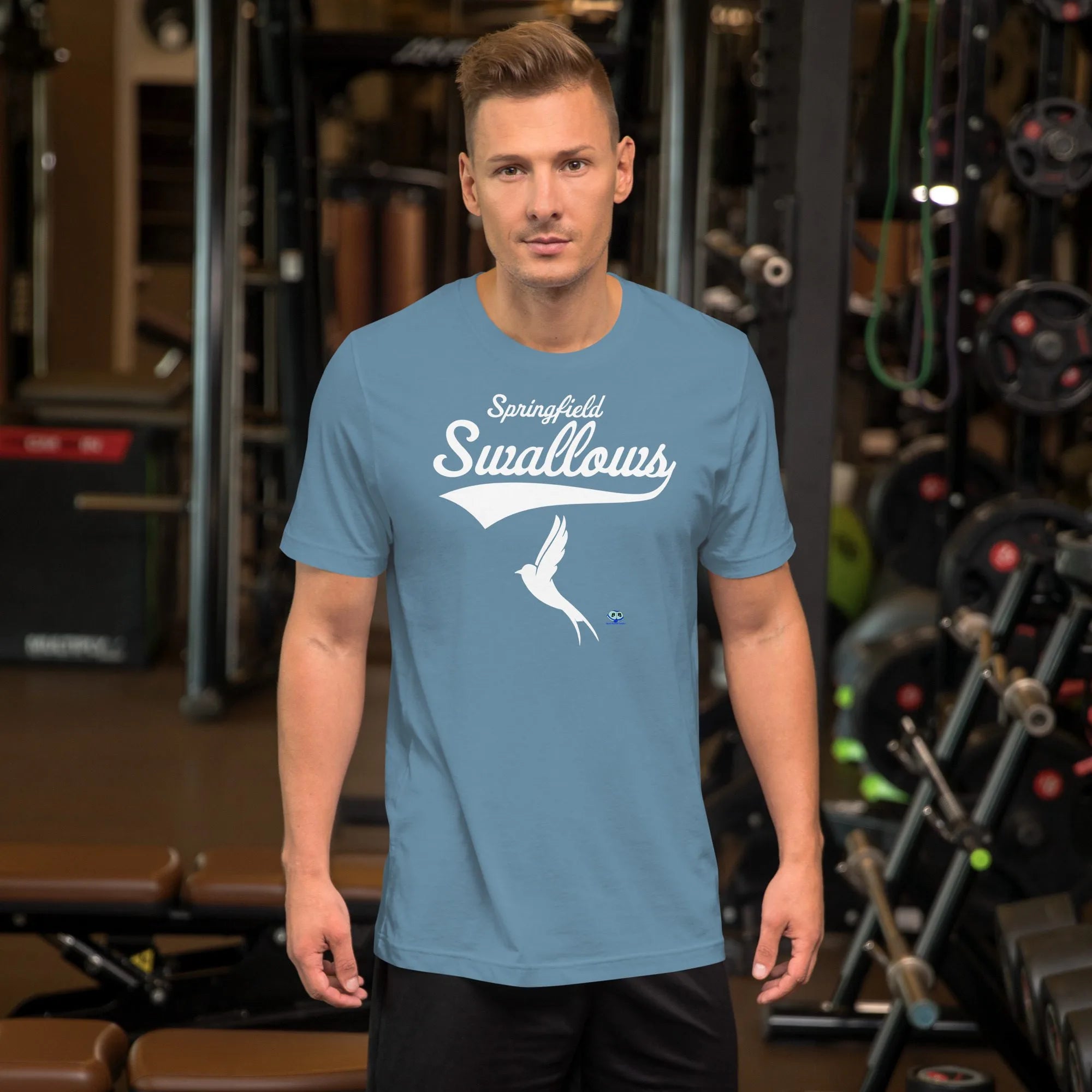 Short Sleeve Tee - Springfield Swallows
