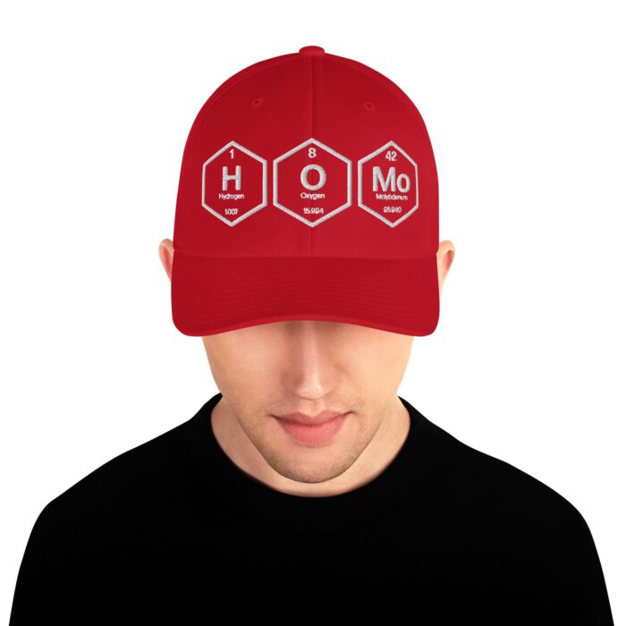 Structured Twill Cap - HOMO Chemistry - Image 17