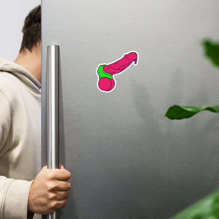 Novelty Magnet - Pop Art Cock and Ball Stretcher