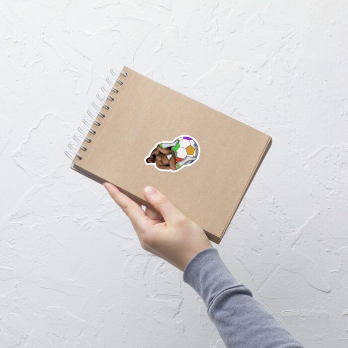 Vinyl Stickers - Futbal / Soccer - Image 2