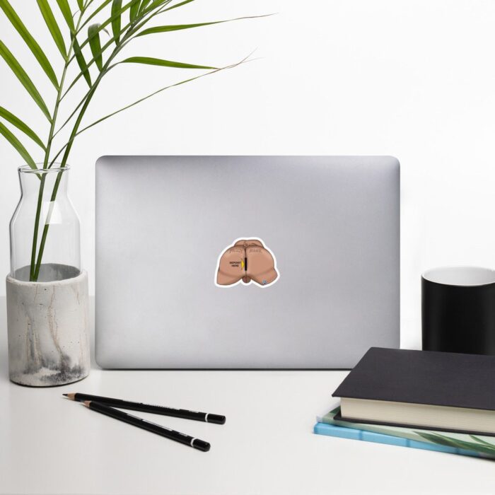 Vinyl Stickers - Piggy Bank - Image 3