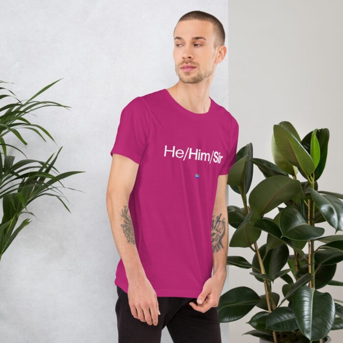 Short Sleeve Tee - He/Him/Sir - Image 24