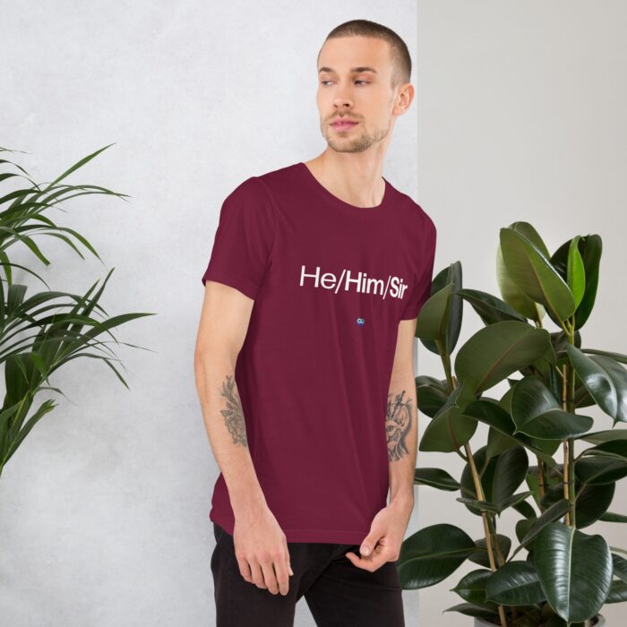 Short Sleeve Tee - He/Him/Sir - Image 13