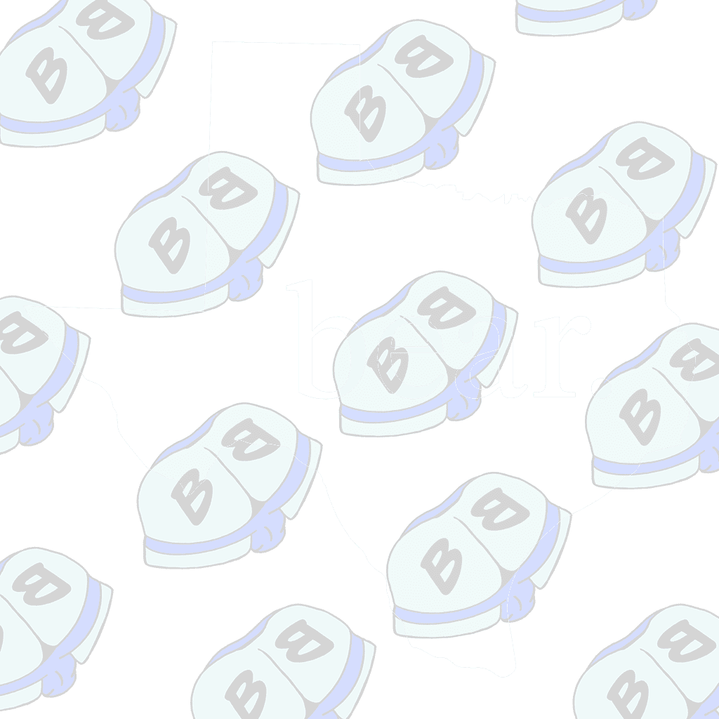 Describing subject of a drawing: You live in Texas and you're a bear!  This shirt is for you.