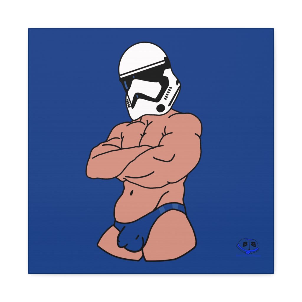 Canvas Gallery Wraps - Super Trooper