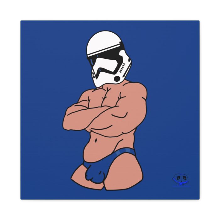 Canvas Gallery Wraps - Super Trooper