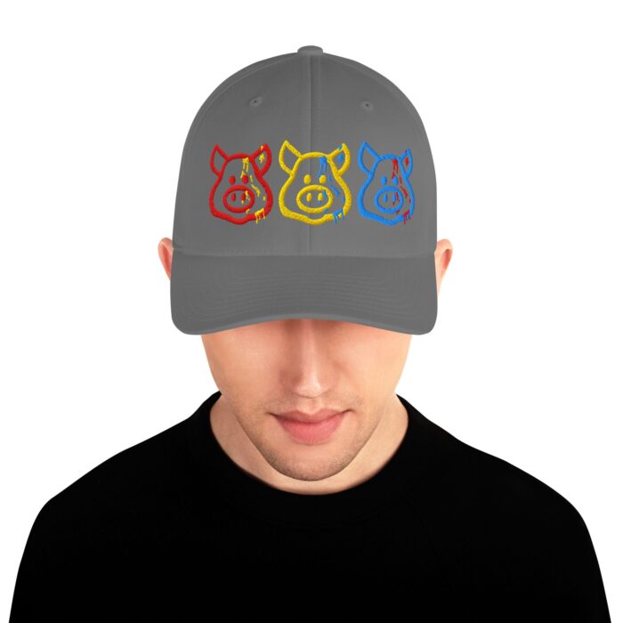 Structured Twill Cap - Cum Pigs - Image 33