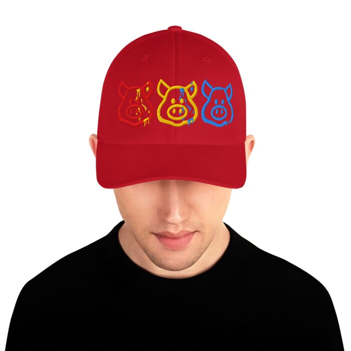 Structured Twill Cap - Cum Pigs - Image 17