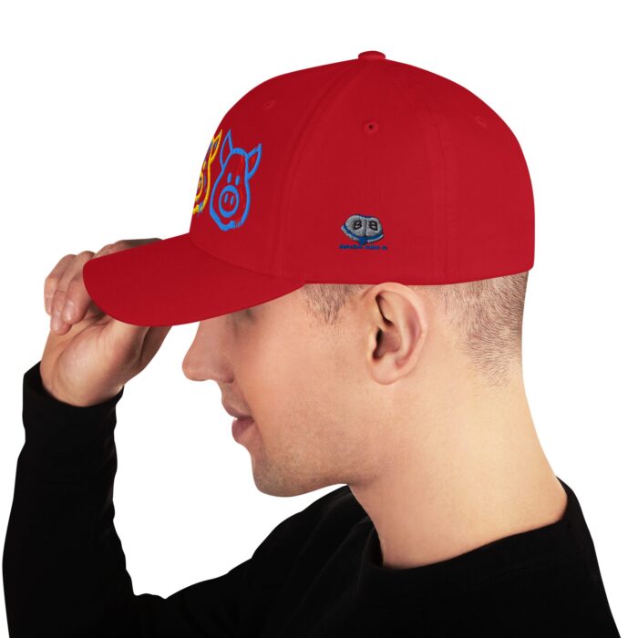 Structured Twill Cap - Cum Pigs - Image 19