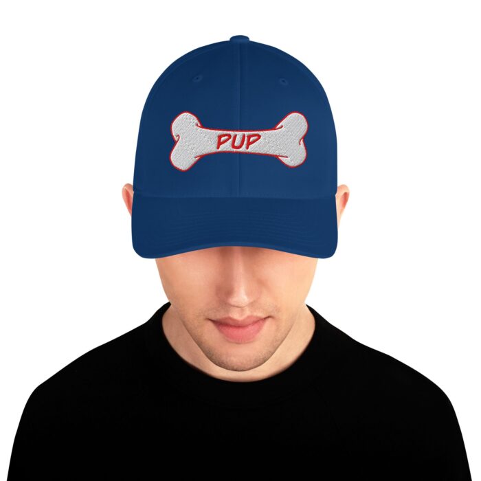 Structured Twill Cap - Pup - Image 13