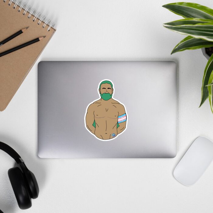 Vinyl Stickers - Trans Pride - Image 9