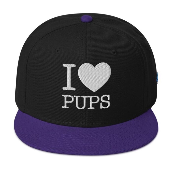 Snapback Hat - I Heart Pups